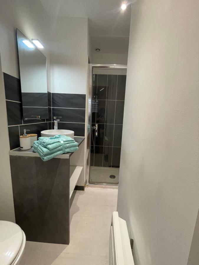 Vue Sur La Rose Apartment Toulouse